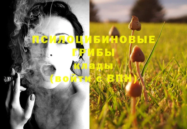 Альфа ПВП Абаза