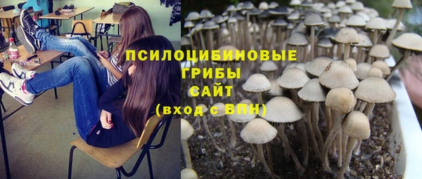 Альфа ПВП Абаза